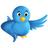 WebsPk's profile image
