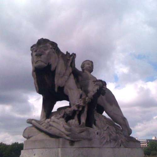 SoyBeansPeacock's profile picture. 