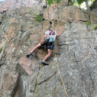 sambridgess's profile picture. کارشناس اصل لانه کبوتری