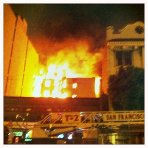 rebldsftreehse's profile picture. 