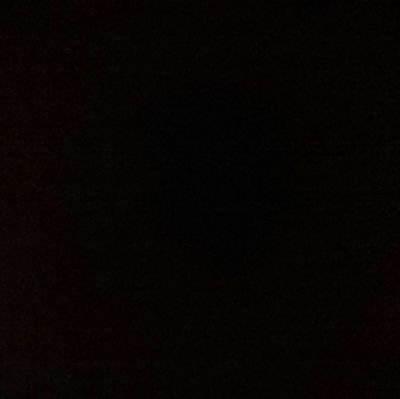 LabRetLR's profile picture. 