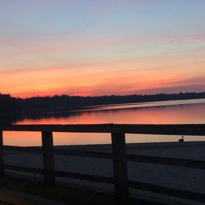 Shehmanqureshi's profile picture. 