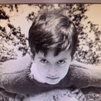 walter veltroni (@veltroniwalter) 's Twitter Profile