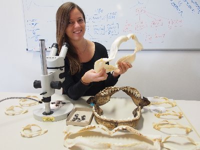 Paleoichthyologist @univienna studying the evolutionary history of #sharks and #rays. 🦈