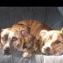 Leo Buchanan - @tw1st3done - Twitter