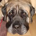 Spencer Elder - @selder77 - Twitter