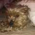 Ann ONeill (@annonei51973151) Twitter profile photo Ann ONeill (@annonei51973151) Twitter profile photo