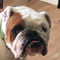 Gabe DC (@gaucho_dc) 's Twitter Profile