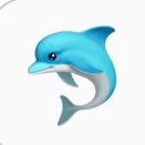 AcademyMK8's profile picture. This is the official site of MDCPS Morningside K-8 Academy ... an International Language Magnet! and an “A” School. Welcome to the home of the Dolphins!