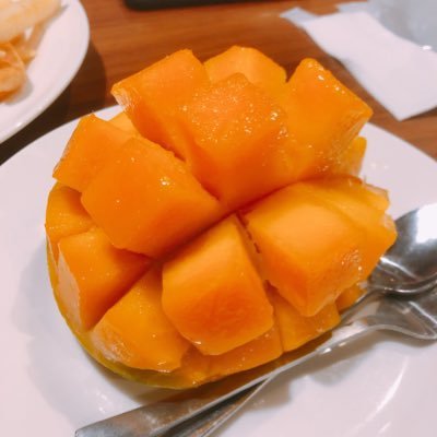 もいとり(もいのすけ)🍊さんのプロフィール画像