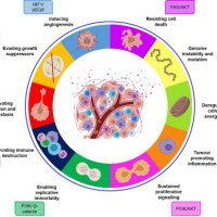 Glycans in Cancer (@glycansc) 's Twitter Profile