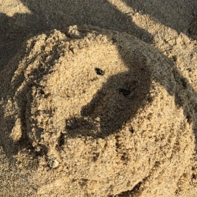 marururu819's profile picture. 