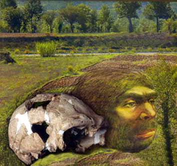 argilnino's profile picture. 