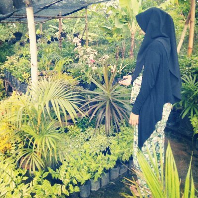 Kau tidak akan mengalahkan orang yg tidak pernah menyerah | 🌻Dedy_Daryl_Darunika
