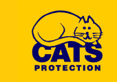 We're the North Herts Branch of Cats Protection