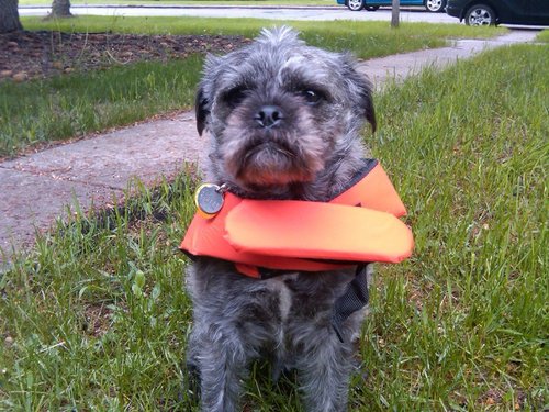 LepperStepper's profile picture. I am an avid liker of stuff: Edmonton arts, communications and food in particular.