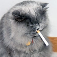 eery (@eery) 's Twitter Profile Photo