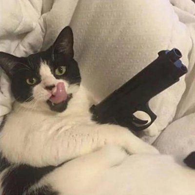 Petya_Gimmickさんのプロフィール画像