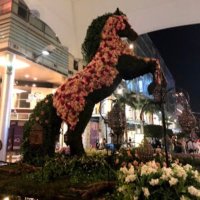 mona abaalkhail🐎 (@mmabaalkhail) 's Twitter Profile
