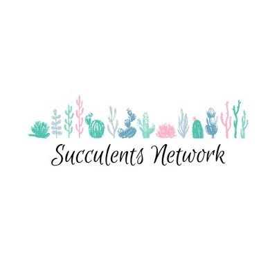 Succulents Network I Community, Care and Propagation