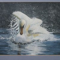 Watercolours 13 (@gaylardjennifer) 's Twitter Profile Photo