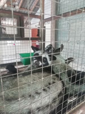 DoriKom's profile picture. Call