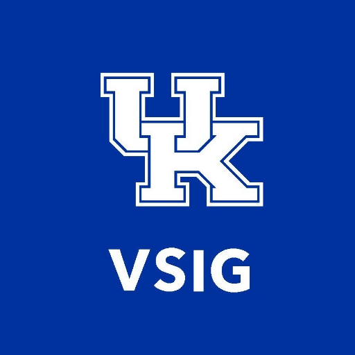 UK VSIG