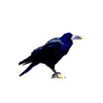 gmazyland's profile picture. A grumpy developer and researcher in the area of storage security.
Linux cryptsetup/LUKS/dmcrypt maintainer.
@asalor@social.kernel.org