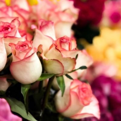 ربي بشرني بما يتمناهُ قلبي و انتَ خيرُ المبشرين🕊💛