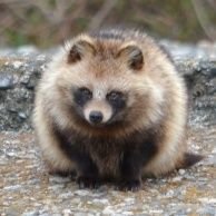 A1UYhNUBwLzZ6sx's profile picture. メインアカウントから順次移行中