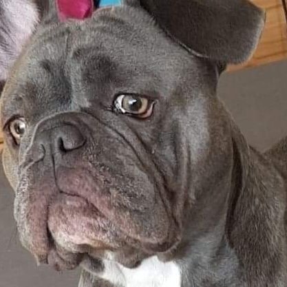 MICMOORE95's profile picture. 