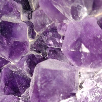 latino_equis's profile picture. 