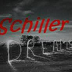 SchillerIndyrok Profile Picture