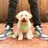 rich_santos's avatar