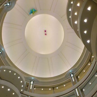 fm62to's profile picture. 近畿地方在住✨50代😁
趣味は舞台観劇とアニメ鑑賞
子どもが社会人となったので自分時間で推し活するはずが…😱
2024.7/16急性骨髄性白血病の診断→治療後2024.9/17臍帯血移植に向けての転院 2024.10/15臍帯血移植無事終了
2024.10.31無事生着
2024.12.18退院