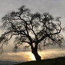 BakersfieldKern's profile picture. https://t.co/ATcgvcmQPw
Local Bakersfield news and events are posted hourly.
Find fun stuff to do in Bakersfield