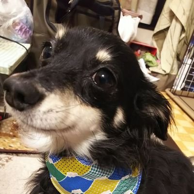 かなた 大阪守口市で工場火事だそうです 摂津市鳥飼付近からもモクモク煙が上がっているのが見えます 大阪守口市 工場火災 守口市 火事 かなた 大阪守口市で工場火事だそうです 摂津市鳥飼付近からもモクモク煙が上がっているのが見えます 大阪守口市 工場火災 守口市 火事