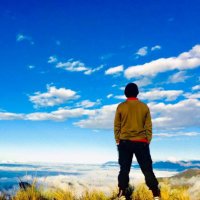 Jhonatan Sallo-Bravo (@sallobravo) 's Twitter Profile