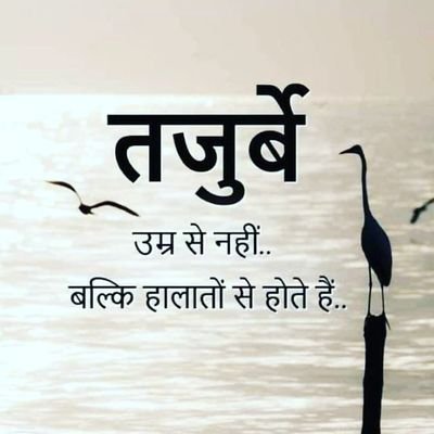 ImranKh98451996's profile picture. 