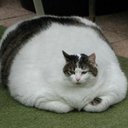 Deborah Middleton - @DebMiddletonUS - Twitter