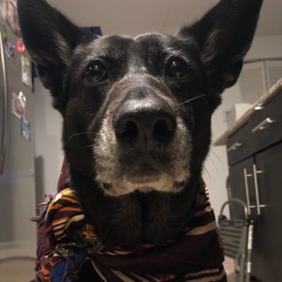 AshleyMarieLIFE's profile picture. Sarcasm = AwesomeSauce