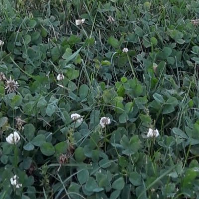 sweetbabyyyA's profile picture. 💰Cashapp Payments 💵 Dm for more info! 💰👌🏻💸 CashApp $sweetbabyyA