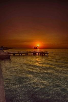 gndzayln41's profile picture. 