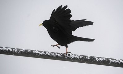 DALJIT74's profile picture. 