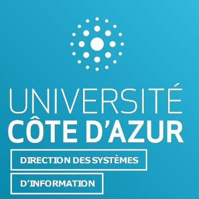 DSI_UnivCôtedAzur