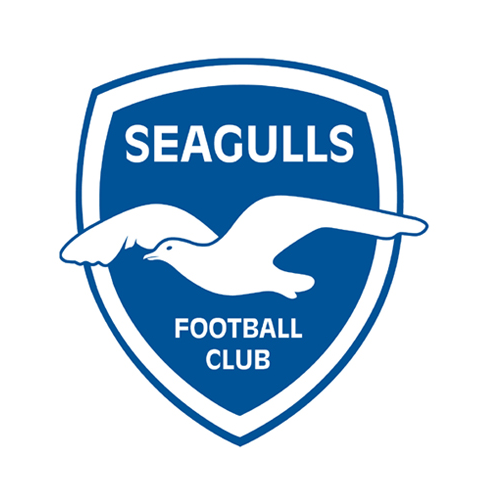 Seagulls FC
