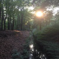 a dutch christian (@jan57860130) 's Twitter Profile