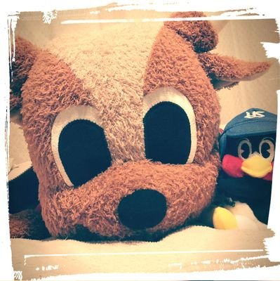 サッカー / 鹿 分11 奈20 / 野球 / YS🐧 L1 H7 T3 33 / Fortune favors the bold.