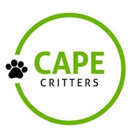 ᴾᵉᵗˢ 🐈🐕 in Cape Town(@capeCritters) 's Twitter Profile Photo