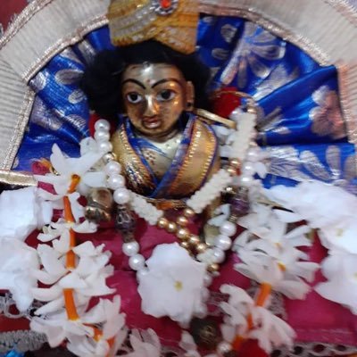 AcharyaChaya's profile picture. politickle by nature